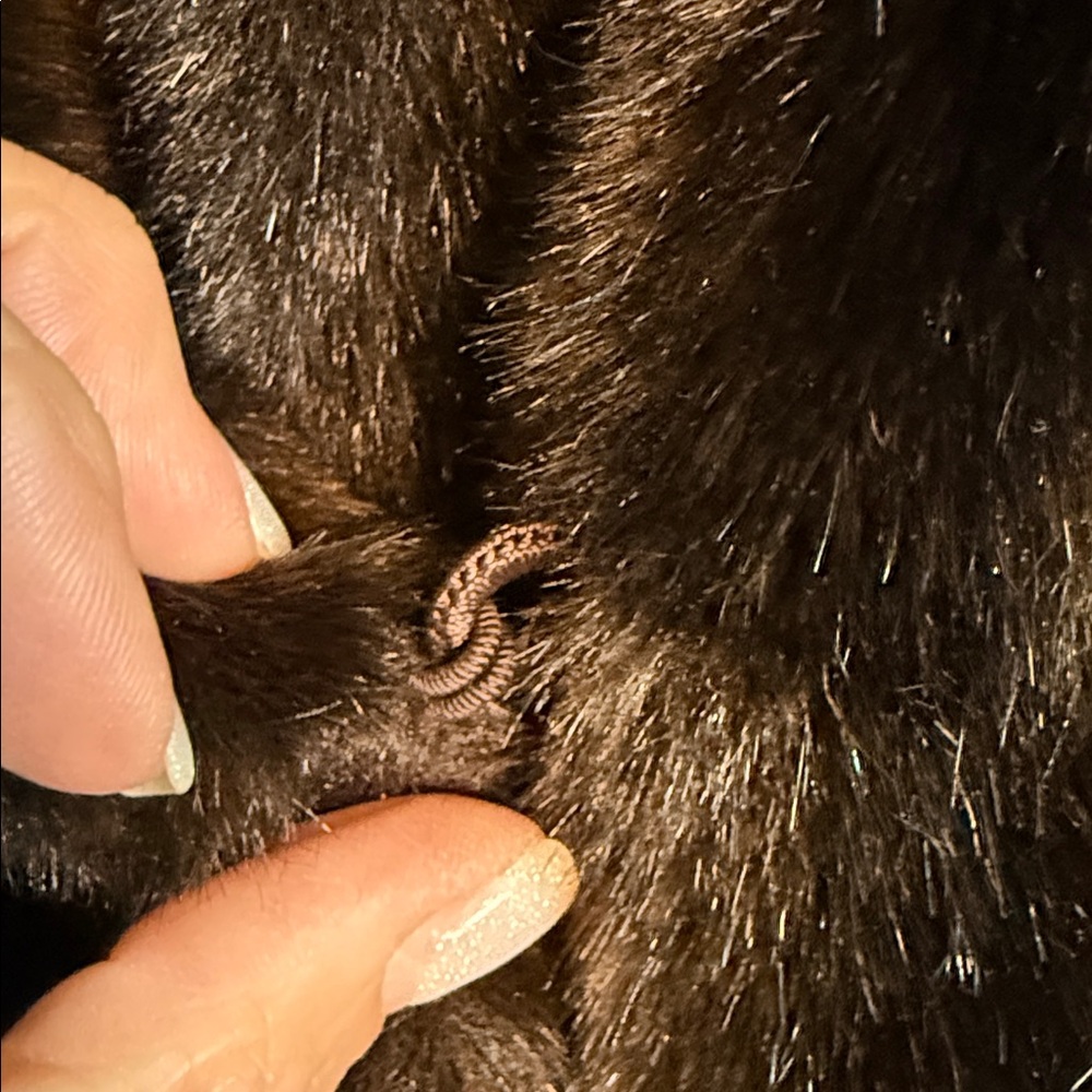 HILLMOOR NEW YORK TISSAVEL BANGER VINTAGE Black/Brown Faux Fur Coat. - Picture 4 of 10